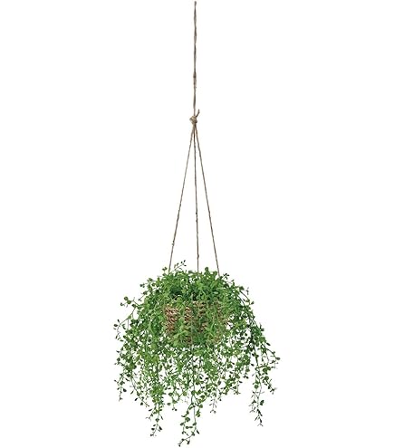 ☆ポトス☆挿し穂用サービスカット☆バンピー5本 ポトス ライム カット苗 挿し穂 抜き苗 斑入り 観葉植物｜Yahoo